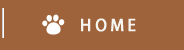 ホーム