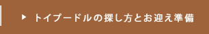 トイプードルの探し方とお迎え準備