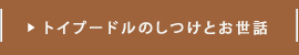 トイプードルのしつけとお世話