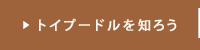 トイプードルを知ろう