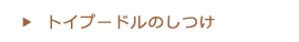 トイプードルのしつけ